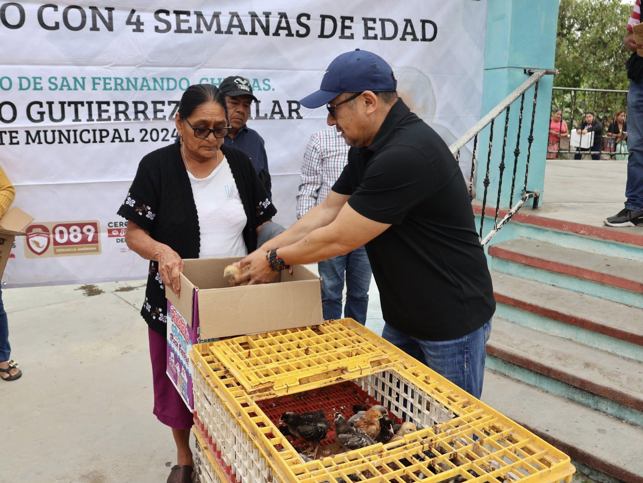 Imagen 1
