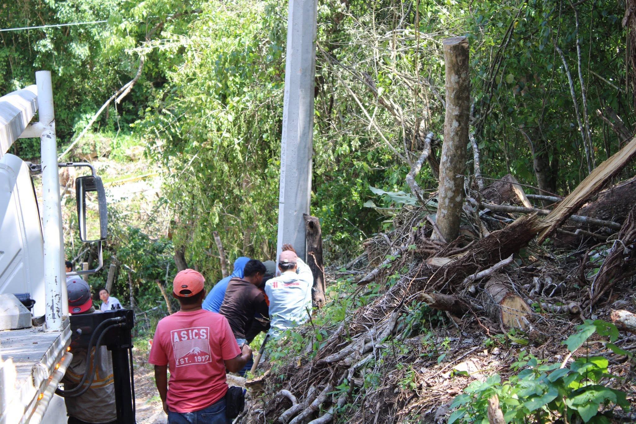 Imagen 1