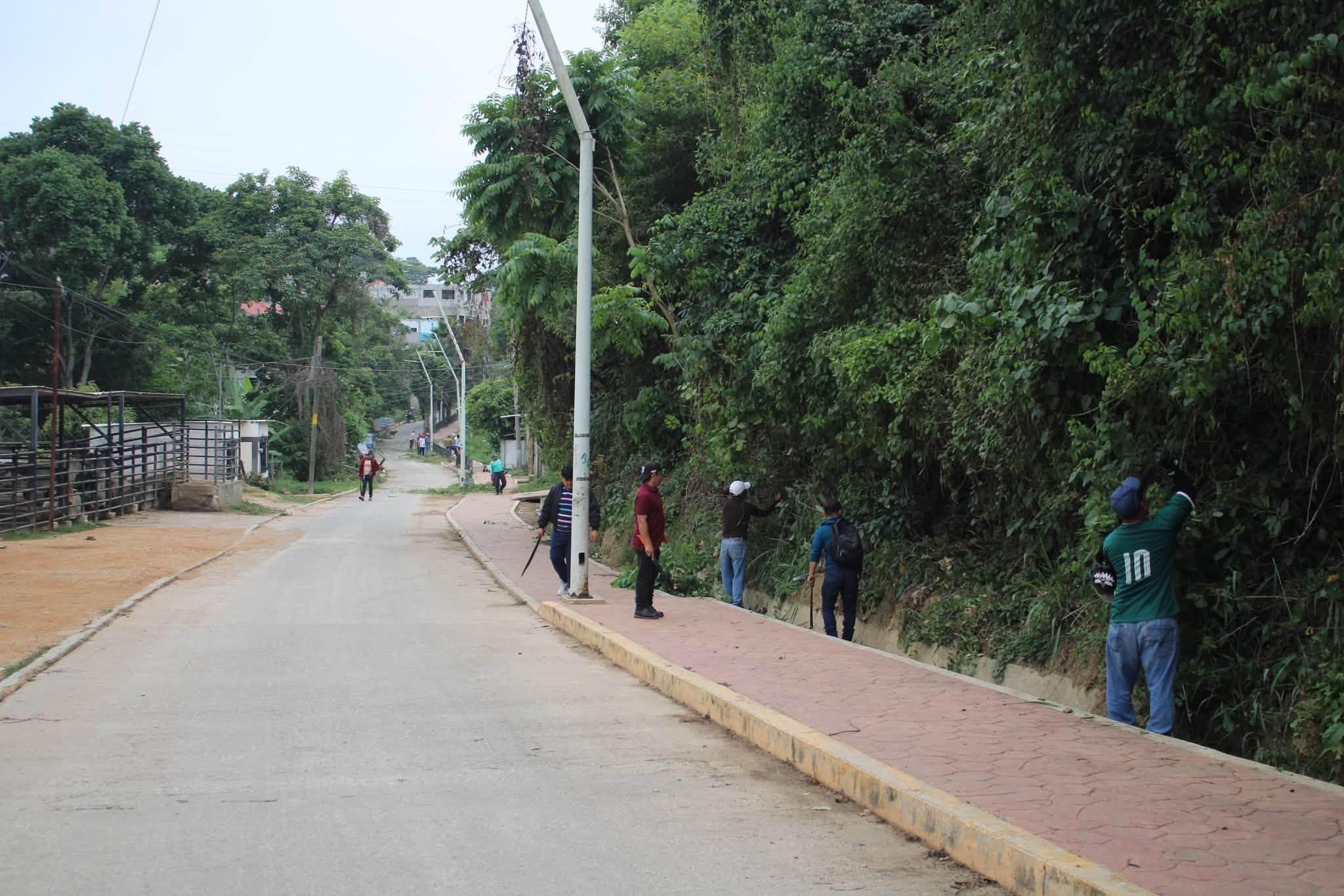 Imagen 1